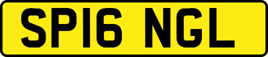 SP16NGL