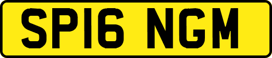 SP16NGM