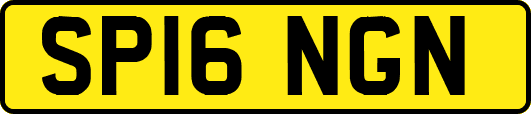SP16NGN