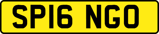 SP16NGO