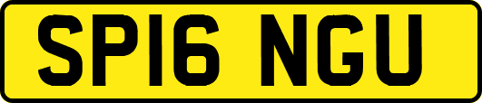SP16NGU