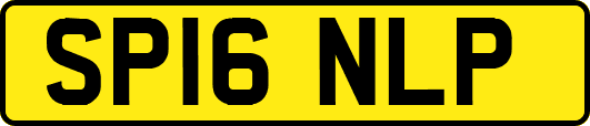 SP16NLP