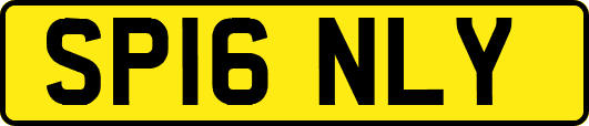 SP16NLY