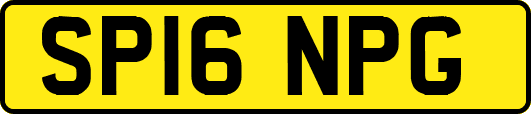 SP16NPG