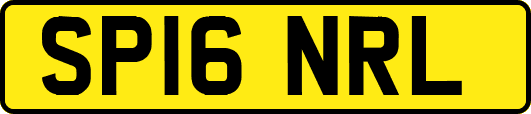 SP16NRL