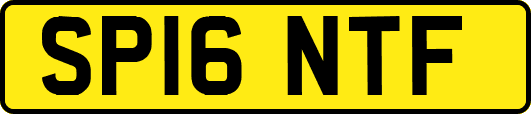 SP16NTF