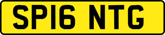 SP16NTG