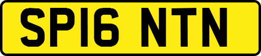 SP16NTN