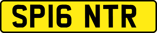 SP16NTR