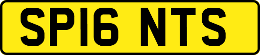 SP16NTS