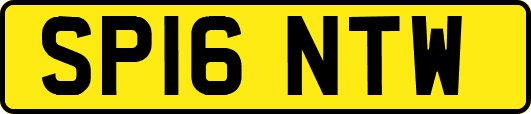SP16NTW