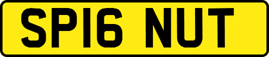 SP16NUT