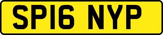 SP16NYP