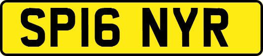 SP16NYR