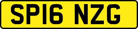 SP16NZG