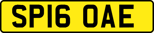 SP16OAE
