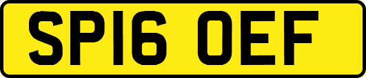 SP16OEF
