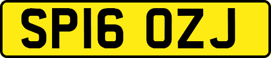 SP16OZJ