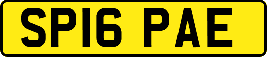 SP16PAE
