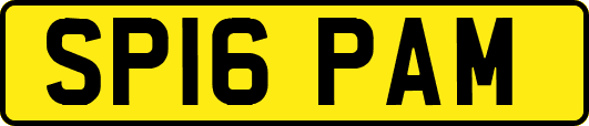 SP16PAM