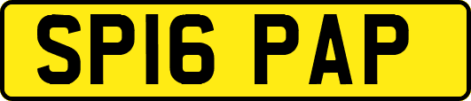 SP16PAP