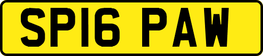 SP16PAW