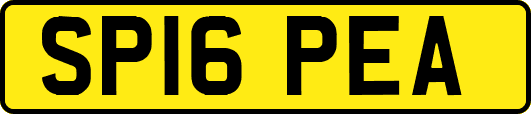 SP16PEA