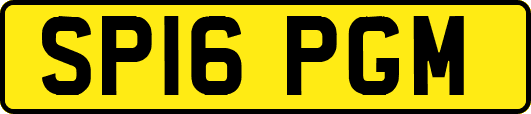 SP16PGM