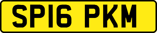 SP16PKM