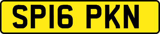 SP16PKN