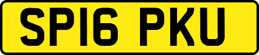 SP16PKU