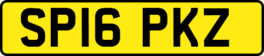 SP16PKZ