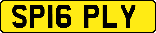 SP16PLY