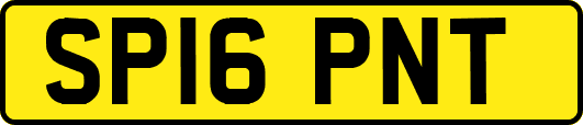 SP16PNT
