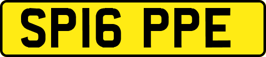 SP16PPE