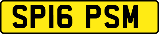 SP16PSM