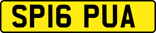SP16PUA