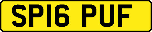 SP16PUF