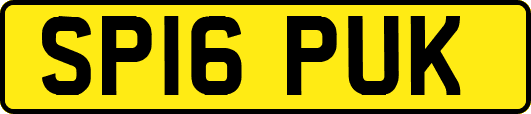SP16PUK