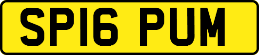 SP16PUM