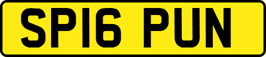 SP16PUN