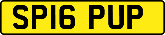 SP16PUP
