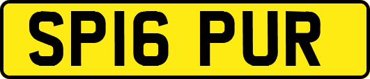 SP16PUR