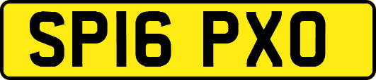 SP16PXO