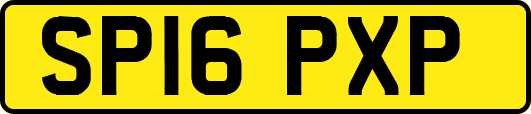 SP16PXP