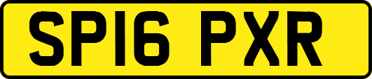 SP16PXR