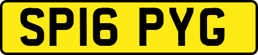 SP16PYG