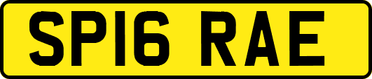 SP16RAE