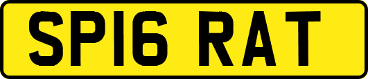 SP16RAT