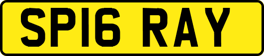 SP16RAY